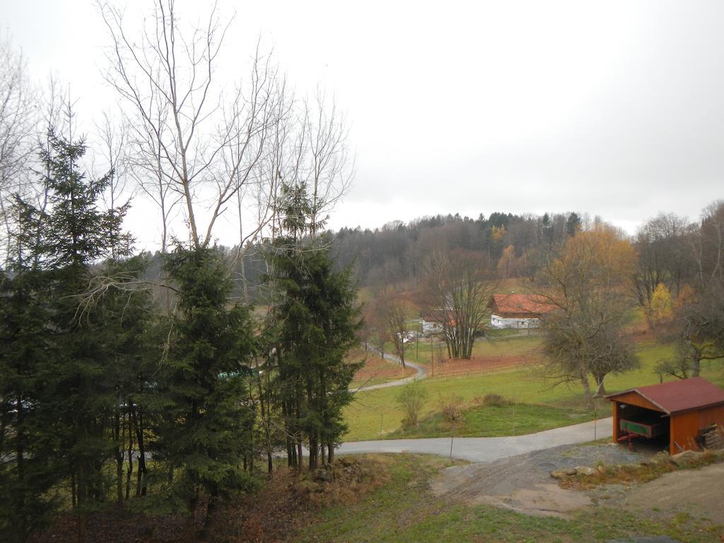 Ferienwohnung Waldoase Am Fuchsenstein シュピーゲラウ エクステリア 写真