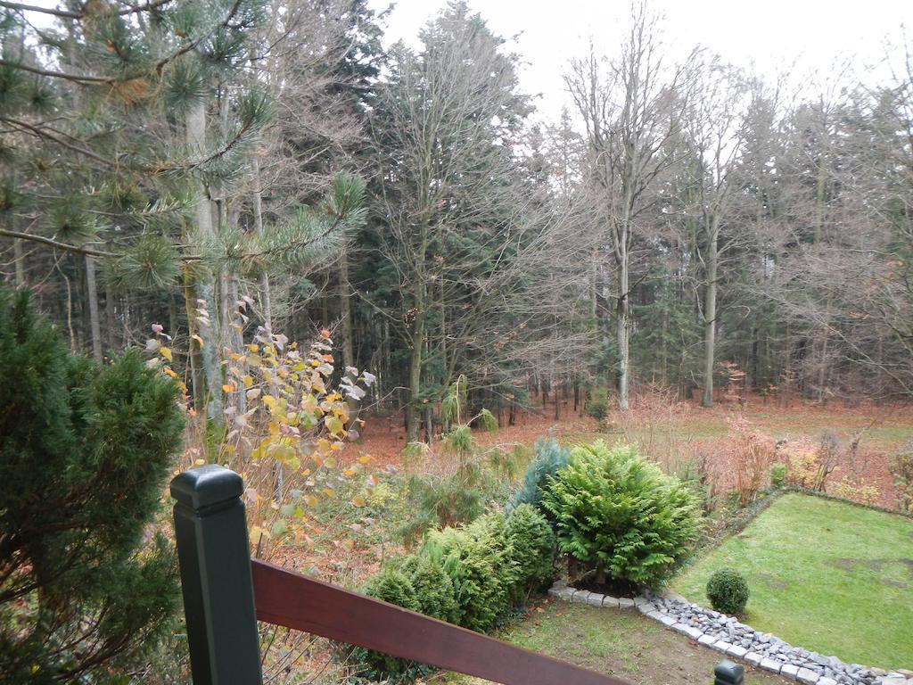 Ferienwohnung Waldoase Am Fuchsenstein シュピーゲラウ エクステリア 写真