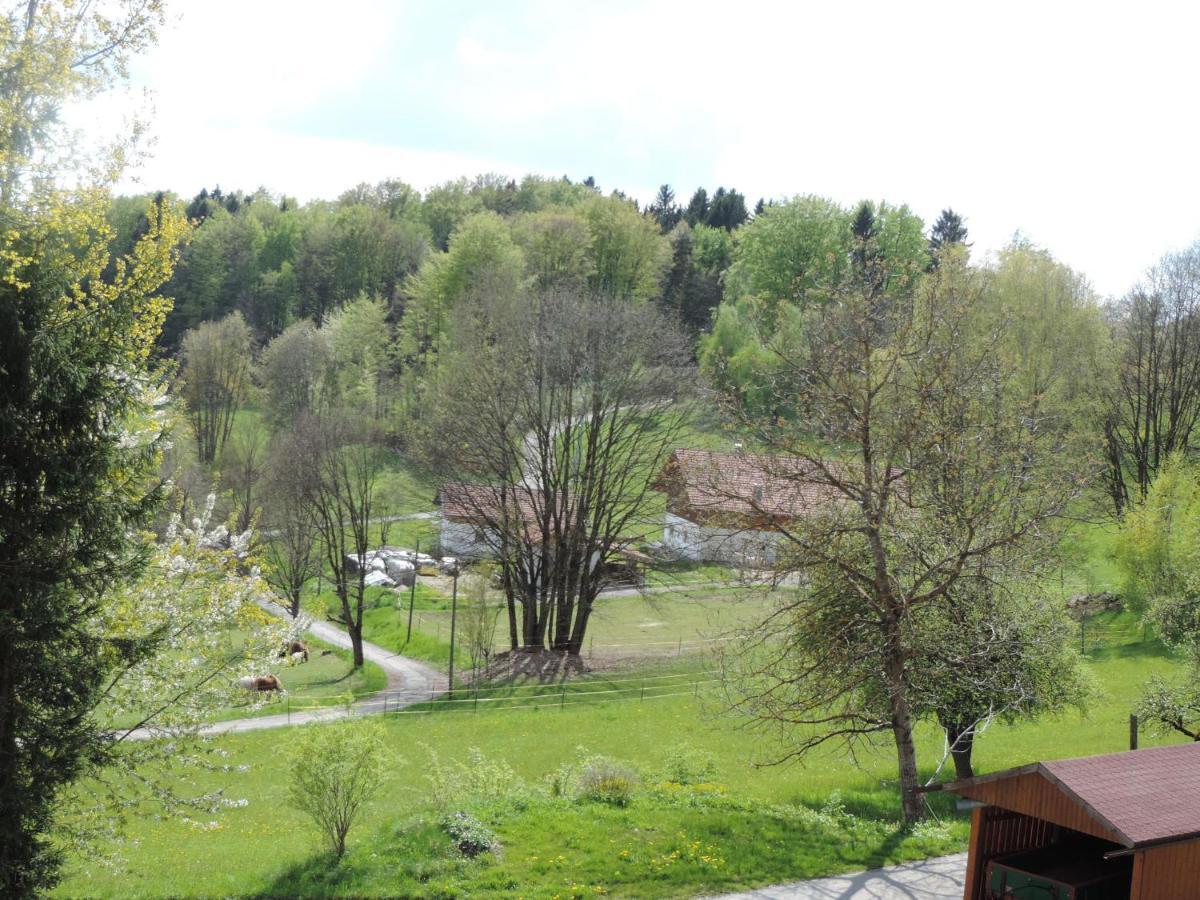Ferienwohnung Waldoase Am Fuchsenstein シュピーゲラウ 部屋 写真